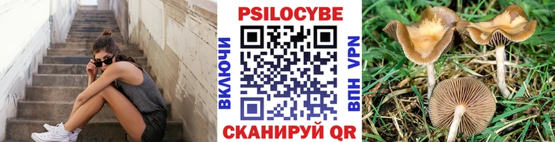 цены   Вольск  Псилоцибиновые грибы Psilocybe 