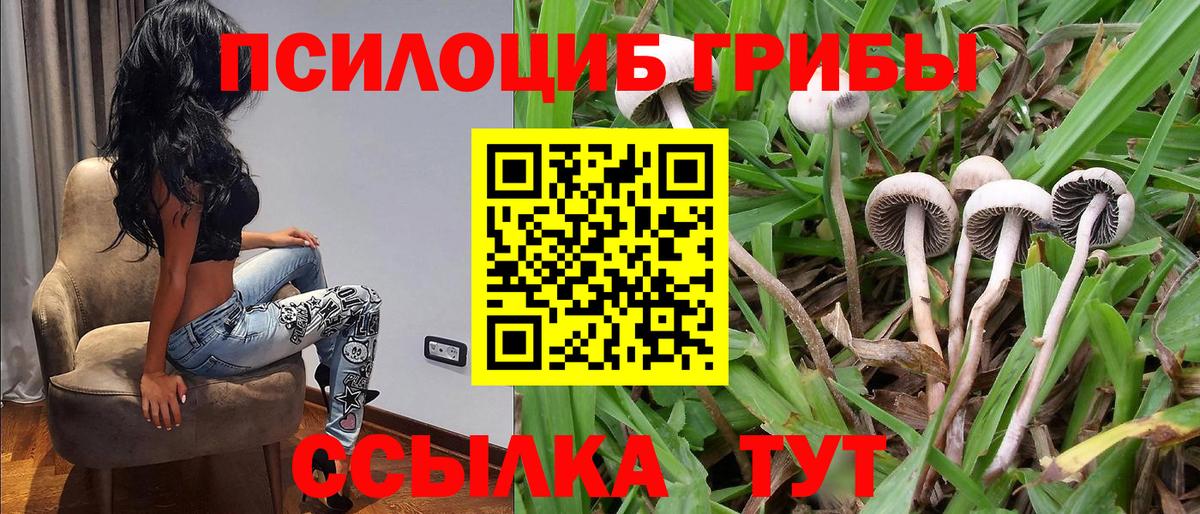 Каннабис Вольск