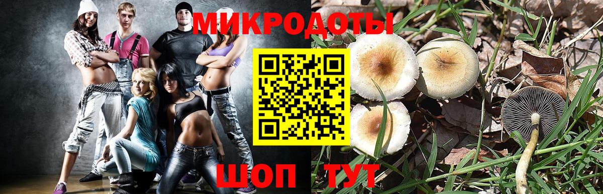 Псилоцибиновые грибы мухоморы  Вход с VPN  Вольск  Галлюциногенные грибы Psilocybine cubensis 