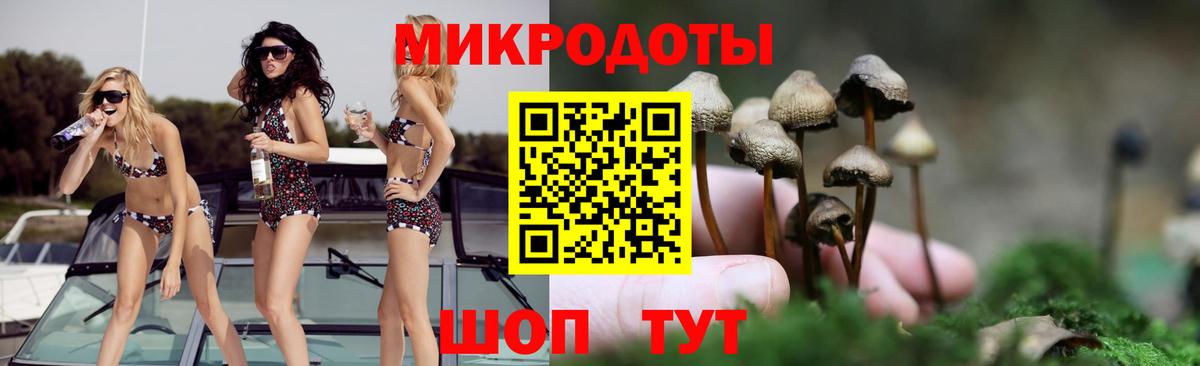 Псилоцибиновые грибы MAGIC MUSHROOMS Вольск