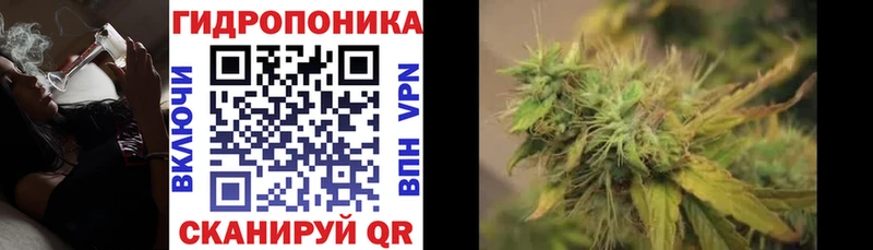Бошки марихуана ГИДРОПОН  мориарти состав  Вольск  магазин продажи  